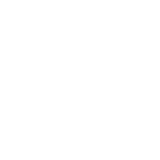 PDIDOST white logo